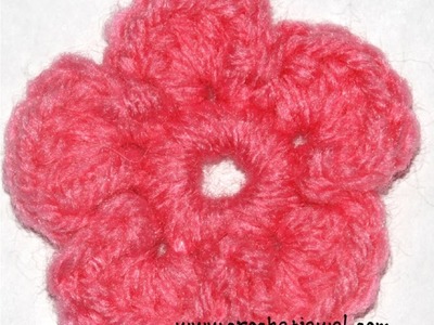 How to Crochet a Simple 5 Petal Flower