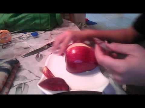 Apple swan part 1 - the body