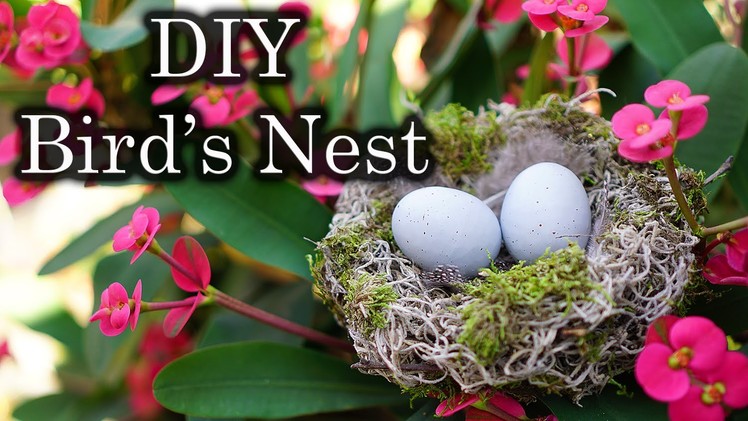 Easter. Spring Decor: DIY Bird's Nest with Spanish Moss
