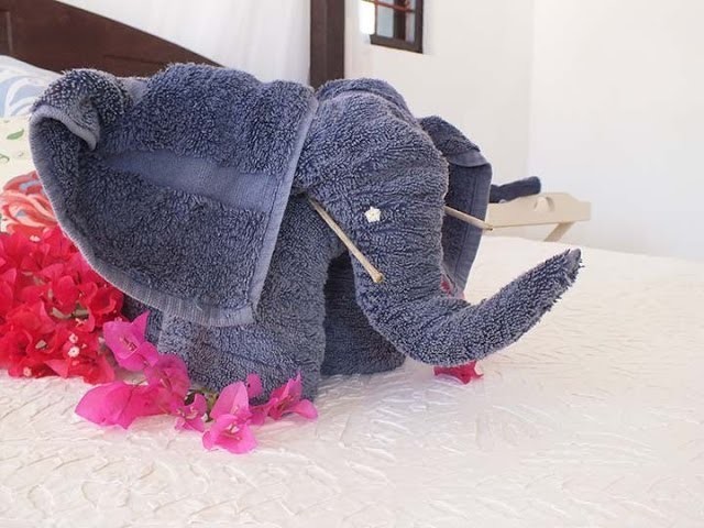 How to make an elephant from towels