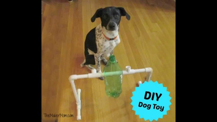 Fun DIY Dog Toy and Treat Dispenser