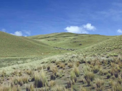 Inca Tops – Peruvian Alpaca Industrial & Hand Knitting Yarns (english)