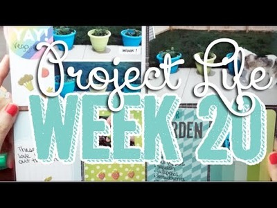 464: Week 20 Project Life 2014 Scrapbook Process - Using Strawberry, Freckled Fawn, & Studio Calico