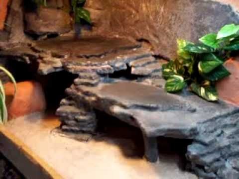 Bearded dragon home DIY vivarium terrarium (part 2)