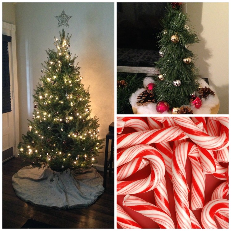 DIY: Christmas Decorations & Centerpieces