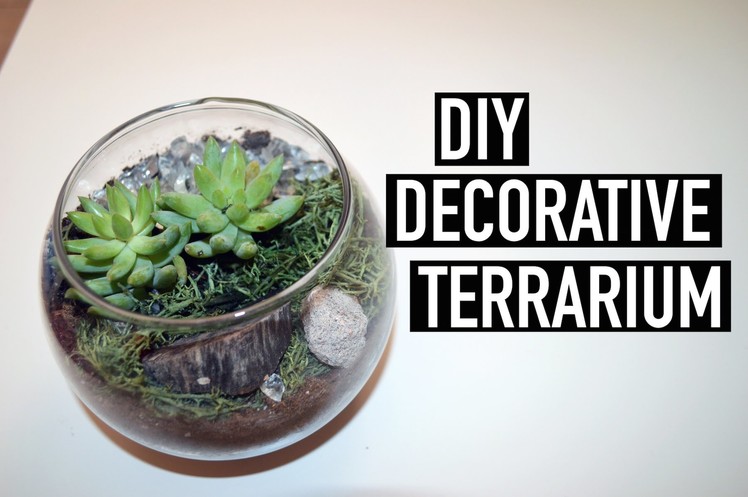 DIY Decorative Terrarium | The Fashion Citizen