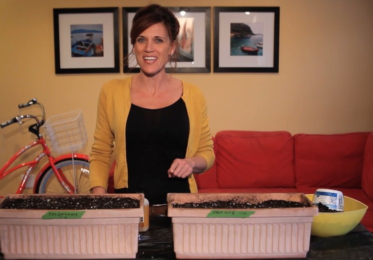 How to Plant Carrots in a Container