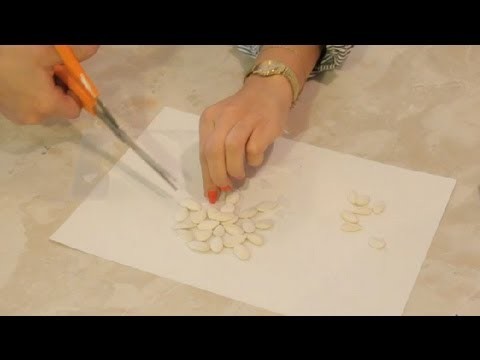 Pumpkin Seed Snowflake Craft : DIY Crafts