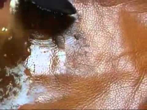 Body Oil Extraction Procedure for Leather Furniture