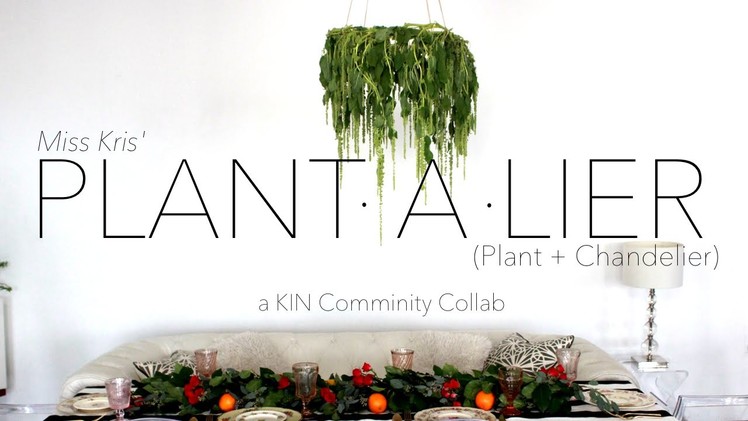 {DIY} PLANT-a-lier (Plant + Chandelier) PLUS KIN COMMUNITY Series Announcement