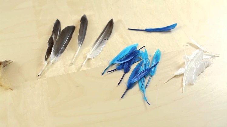 Duck Feathers Review , Duck Feathers , Craft Feathers , feathers ,