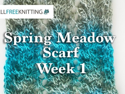 Knit Along: Spring Meadow Scarf Week 1