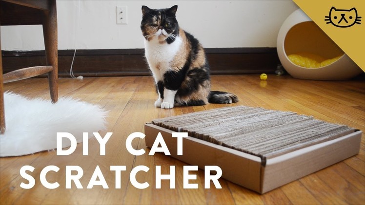 DIY Cardboard Cat Scratcher with Pudge