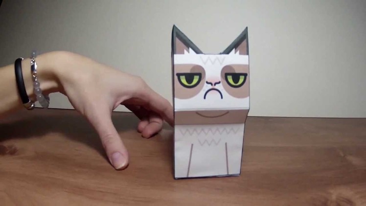 Grumpy Cat DIY