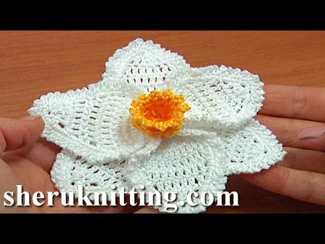 Crochet 3D Narcissus Flower Tutorial 68 Part 3 of 3 Crochet Daffodil