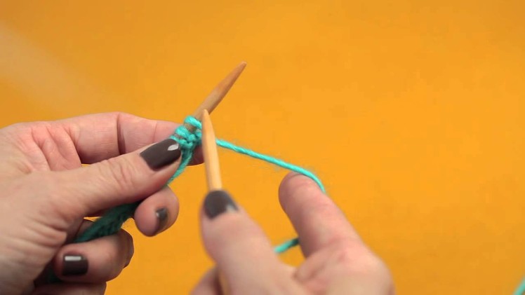 Stitch 'N Bitch: Learn to Knit