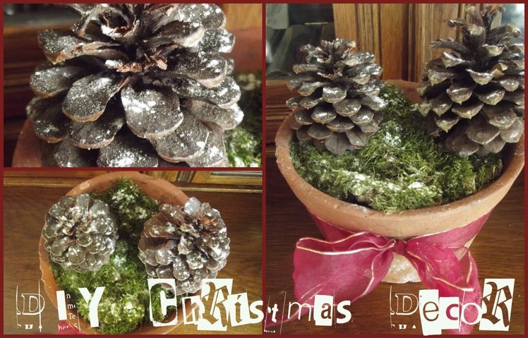 DIY Christmas Decorations❄Pine Cone Tree | Haley & Bronwen