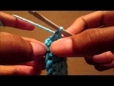 How to Crochet a Hook Case