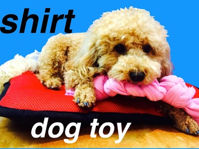 DOG T-SHIRT TOY - UPCYCLE RECYCLE  - DIY Dog Craft by Cooking For Dogs