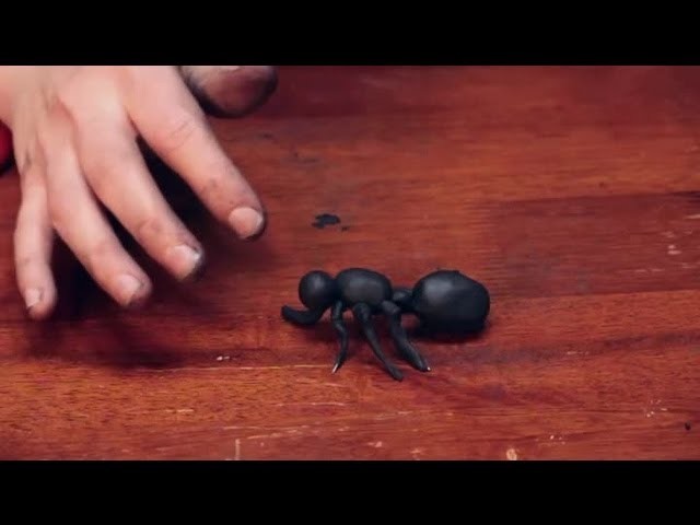 How to Build a Model of an Ant : Sculpting Crafts & More