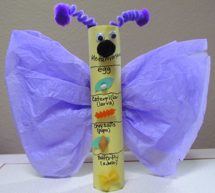 How to make a Butterfly Craft: Metamorphosis