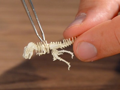 Tinysaurs DIY Miniature Models