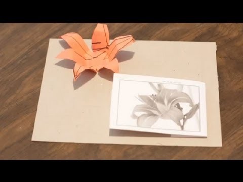 How to Make Tiger Lilies Out of Paper : Paper Crafts