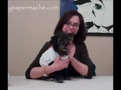 How 2 Make A Dog Sweater from Recycled Baby Sweaters