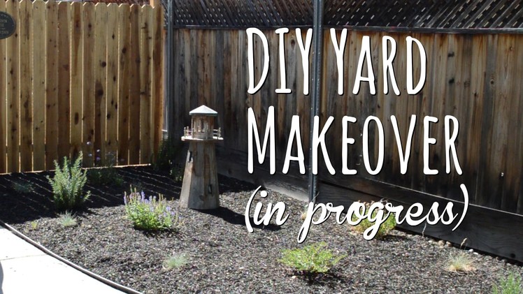 DIY yard makeover - front yard before and after with drought tolerant plants