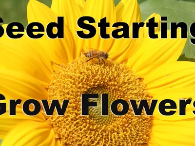 Seed Starting - Grow Flowers From Seed Easily : GardenFork.TV