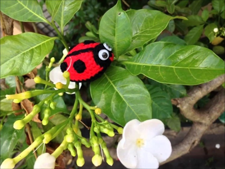 How to Crochet Little Ladybird (Free Amigurumi pattern)