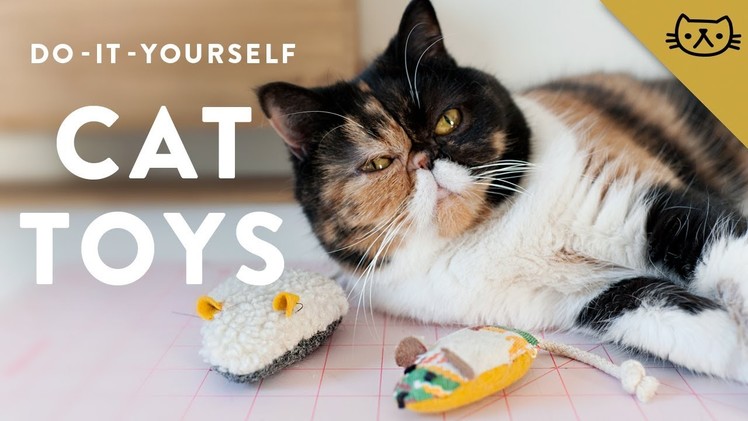 How to Make Cat Toys