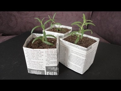 DIY: Newspaper Pots for Seed Starting.Cuttings
