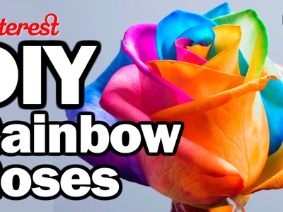DIY Rainbow Roses - Man Vs. Pin #26