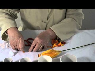 How to Make a Goldfish
