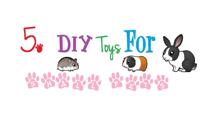 5 DIY Toys For Small Pets!