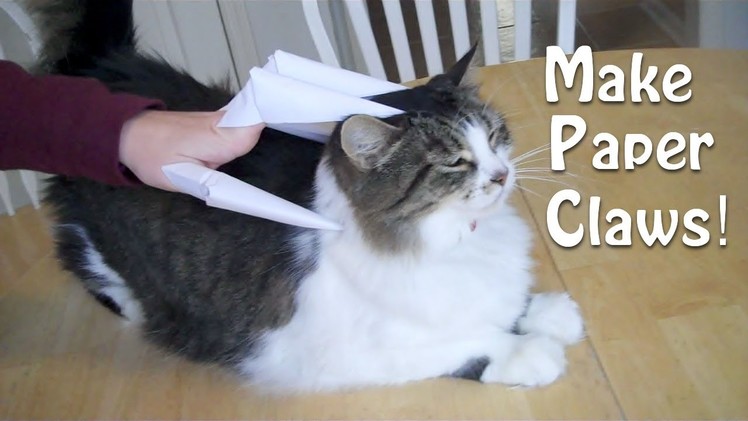 Paper Claws. Finger knives (Cats love these!)