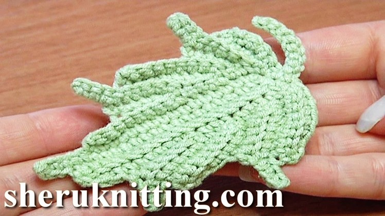 Crochet Leaf How to Tutorial 24 Part 1 of 2 Single Crochet Stitches Worked In Back Loop