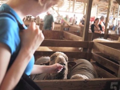 2012 Maryland Sheep and Wool Festival (narrated photos)