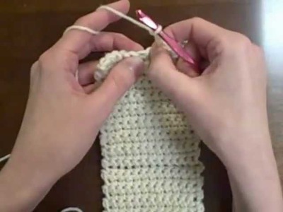 Beginner Crochet Project - Coin Purse