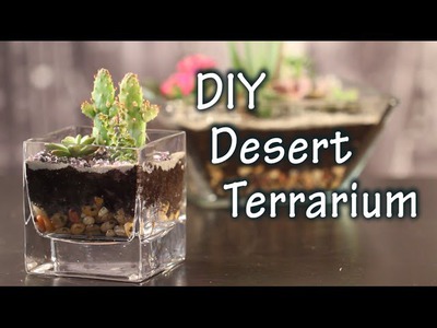 DIY Tutorial On How To Make A Terrarium with Cacti and Desert Plants