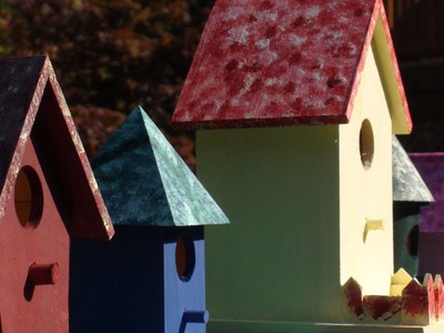 Get Your Craft On! - How to Paint & Build a Bird House Community