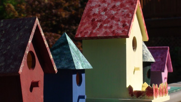 Get Your Craft On! - How to Paint & Build a Bird House Community
