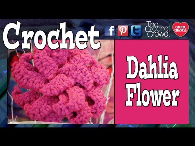 How to Crochet A Dahlia Flower