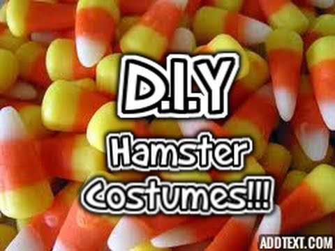 DIY Hamster Costumes! ♥