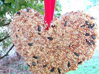How to make a Bird Feeder Valentine's Day Heart Craft