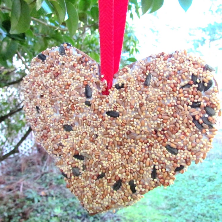 How to make a Bird Feeder Valentine's Day Heart Craft