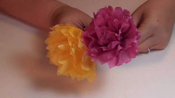 Tissue Paper Carnation Flower