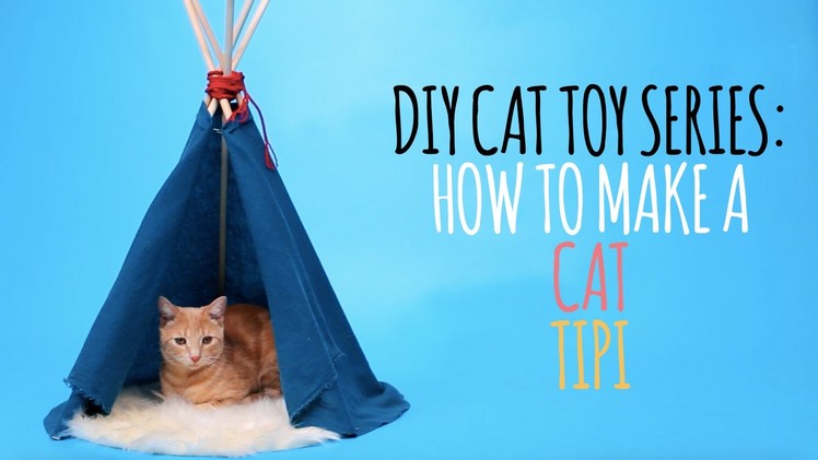 DIY Cat Toys - How to Make a Cat Tipi