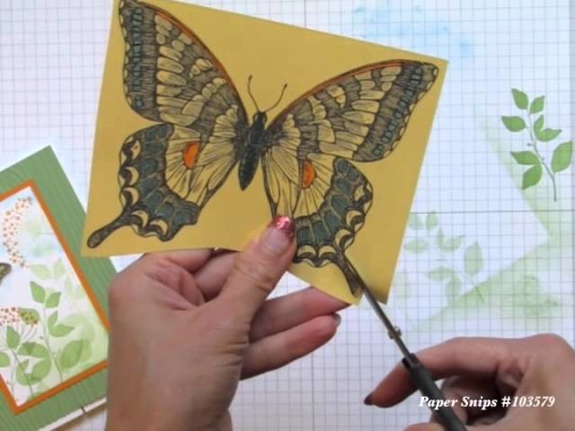 Finger Tips for Paper Crafting Art: Beautiful Butterfly Card